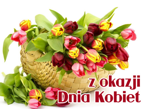 Kolorowe tulipany w koszyku na dzień kobiet